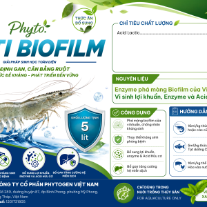Enzyme phá màng Biofilm của Vi khuẩn