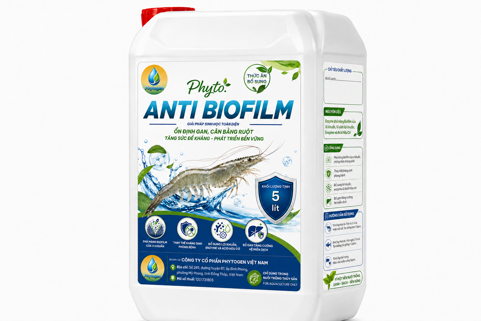 Phyto. Anti Biofilm